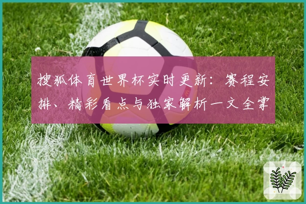 搜狐体育世界杯实时更新：赛程安排、精彩看点与独家解析一文全掌握