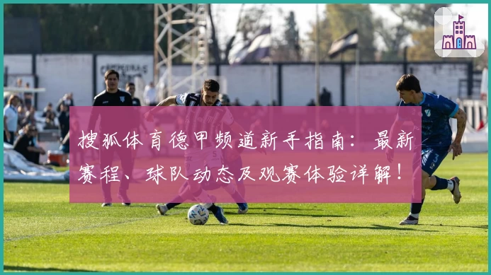 搜狐体育德甲频道新手指南：最新赛程、球队动态及观赛体验详解！