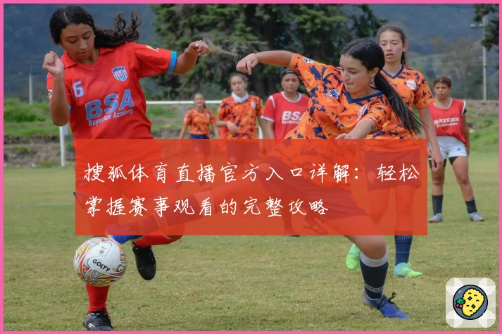 搜狐体育直播官方入口详解：轻松掌握赛事观看的完整攻略