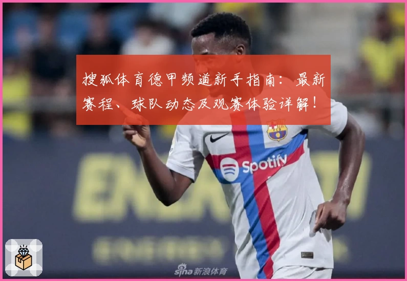 搜狐体育德甲频道新手指南：最新赛程、球队动态及观赛体验详解！