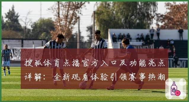 搜狐体育点播官方入口及功能亮点详解：全新观看体验引领赛事热潮