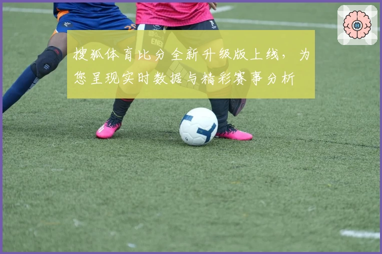 搜狐体育比分全新升级版上线，为您呈现实时数据与精彩赛事分析