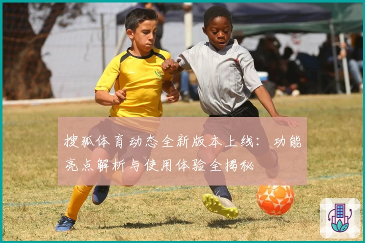 搜狐体育动态全新版本上线：功能亮点解析与使用体验全揭秘