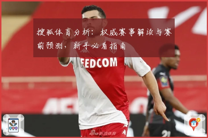 搜狐体育分析：权威赛事解读与赛前预测，新手必看指南