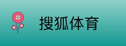搜狐体育 Logo